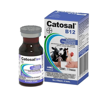 Catosal-B12-20ml