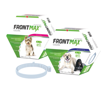 Frontmax-Coleira